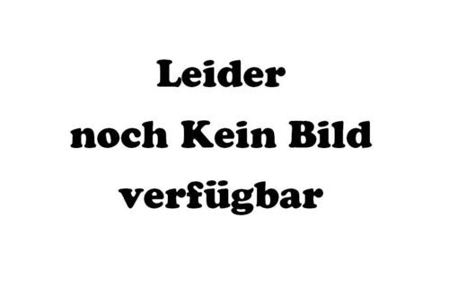 Slip-on Schalldämpfer rund/oval VA/schwarz keramisch beschichtet mit KAT (EURO 3)