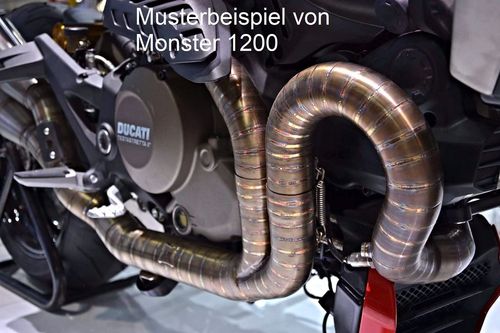 Zard snake welded on Full Kit (sichtbare Schweißnähte), Monster 797 Bj. 2017-2020